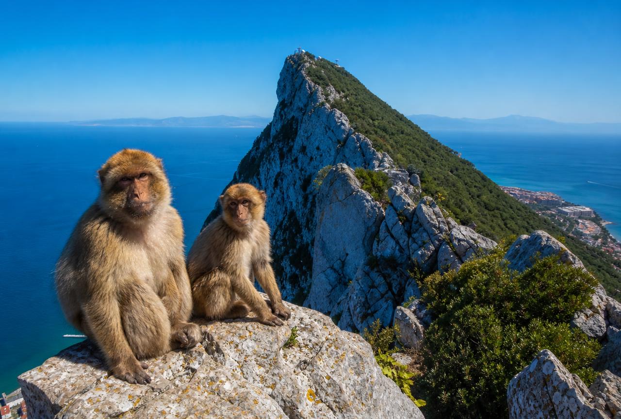 The massive Rock of Gibraltar rising over the blue Mediterranean and coastline, with Barbary macaques on a foreground viewpoint